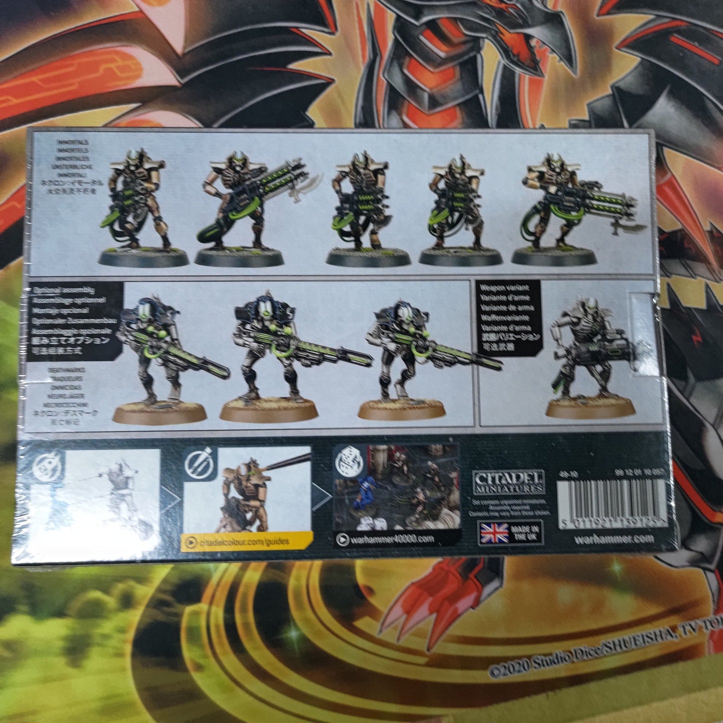 Immortals Warhammer